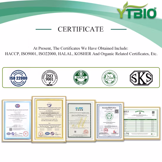 Lzy Exclusive Konjac Rice Main Food Vegan Green Health Rice Self-Owned Konjac Plantation Halal Food